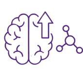 brain